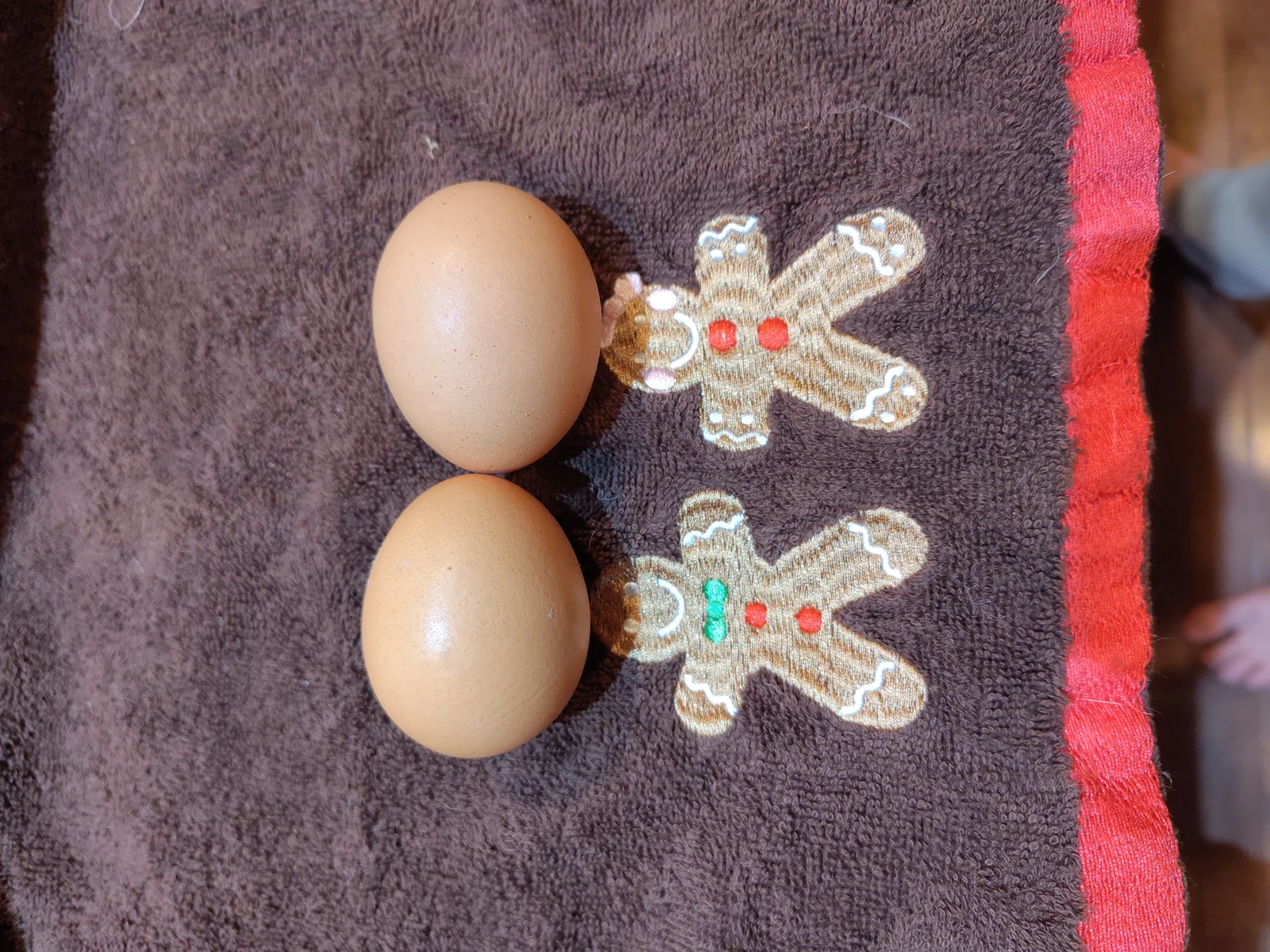 Two eggs point-to-point on towel